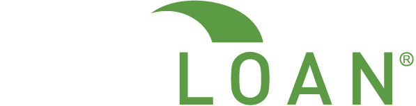 website logo